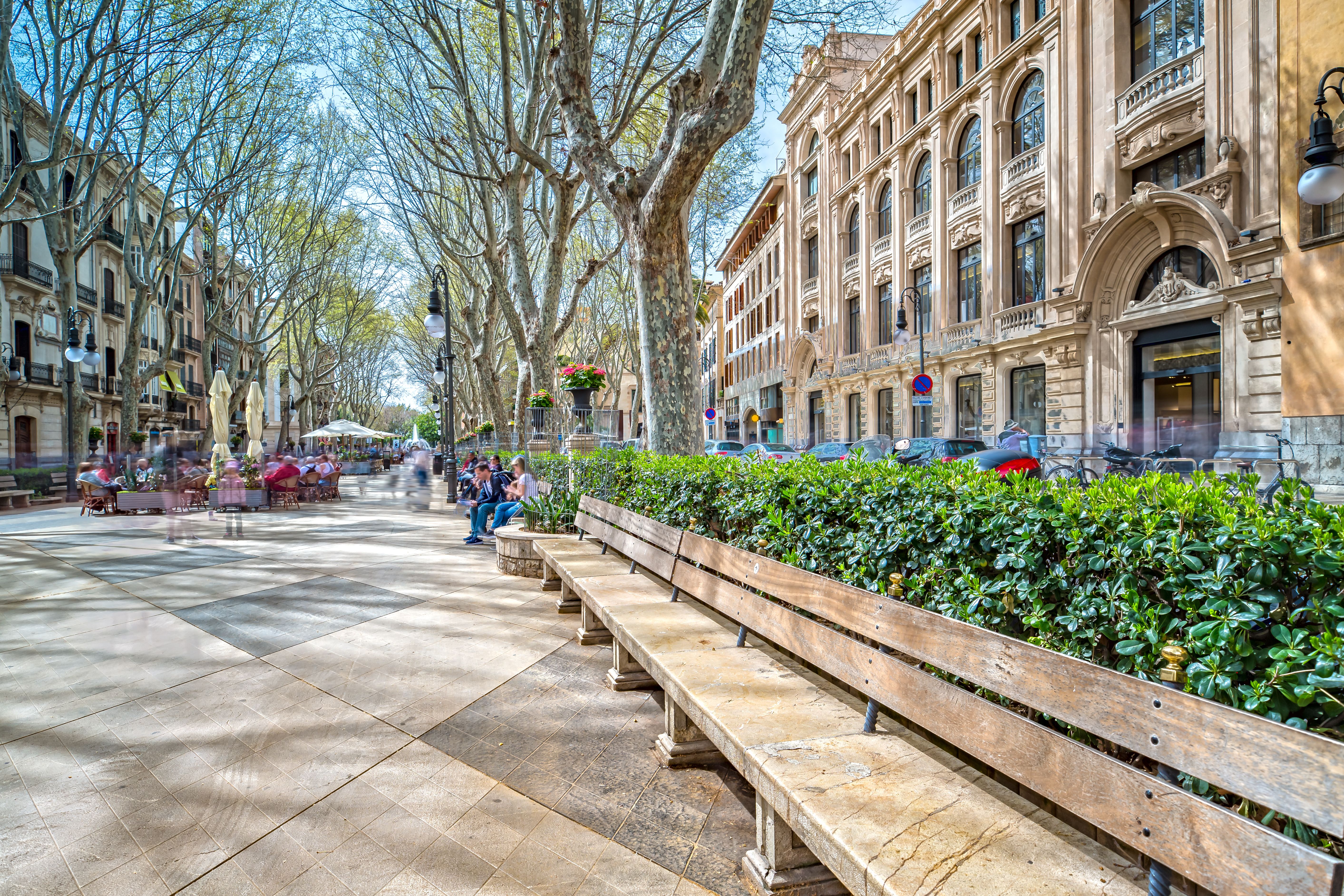 A view of the main shopping avenue, Passeig de Born, in Palma, Majorca
