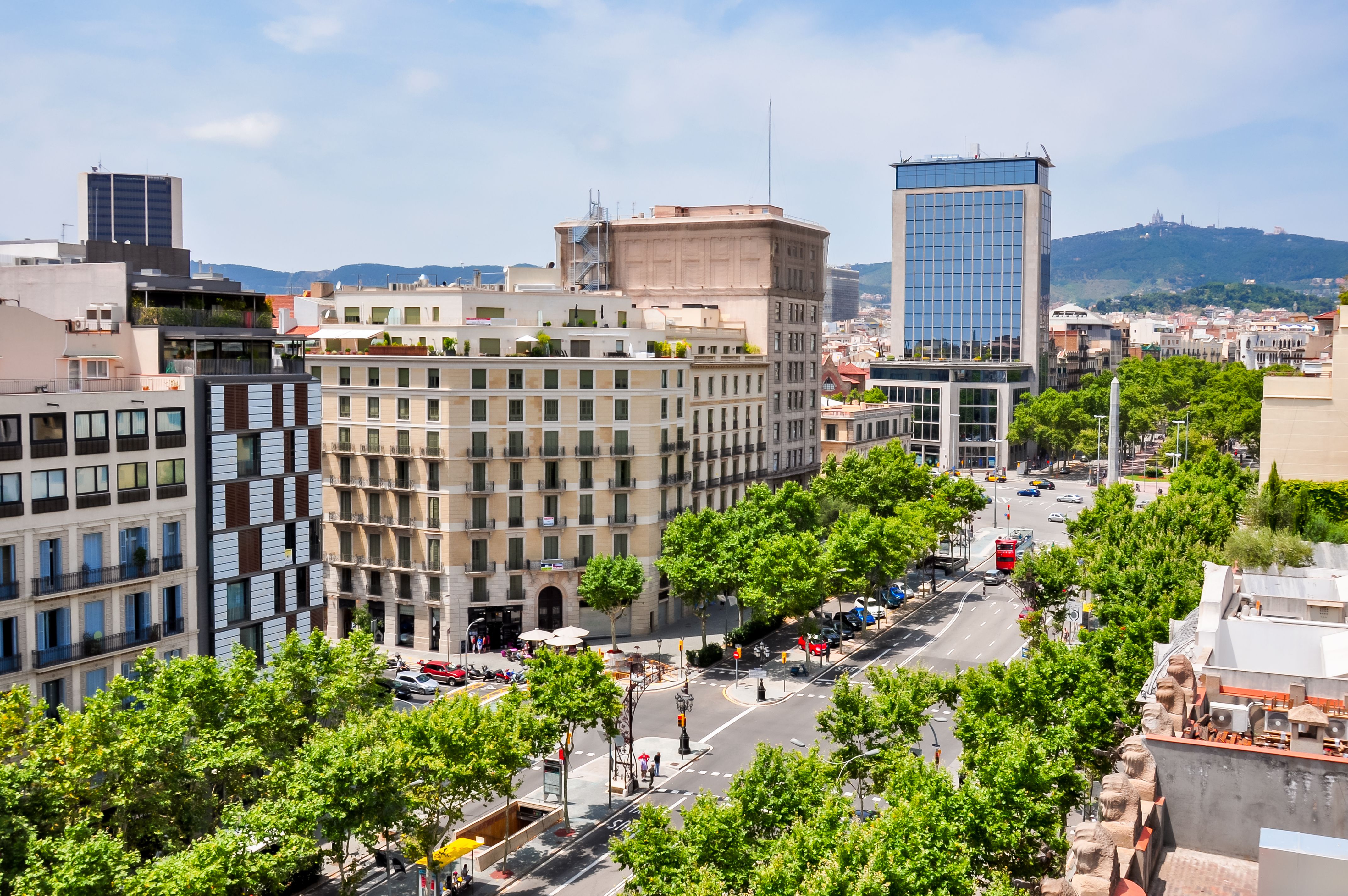 View of the Main Street in Gracia, Barcelona lined by high-rise buildings and green trees
