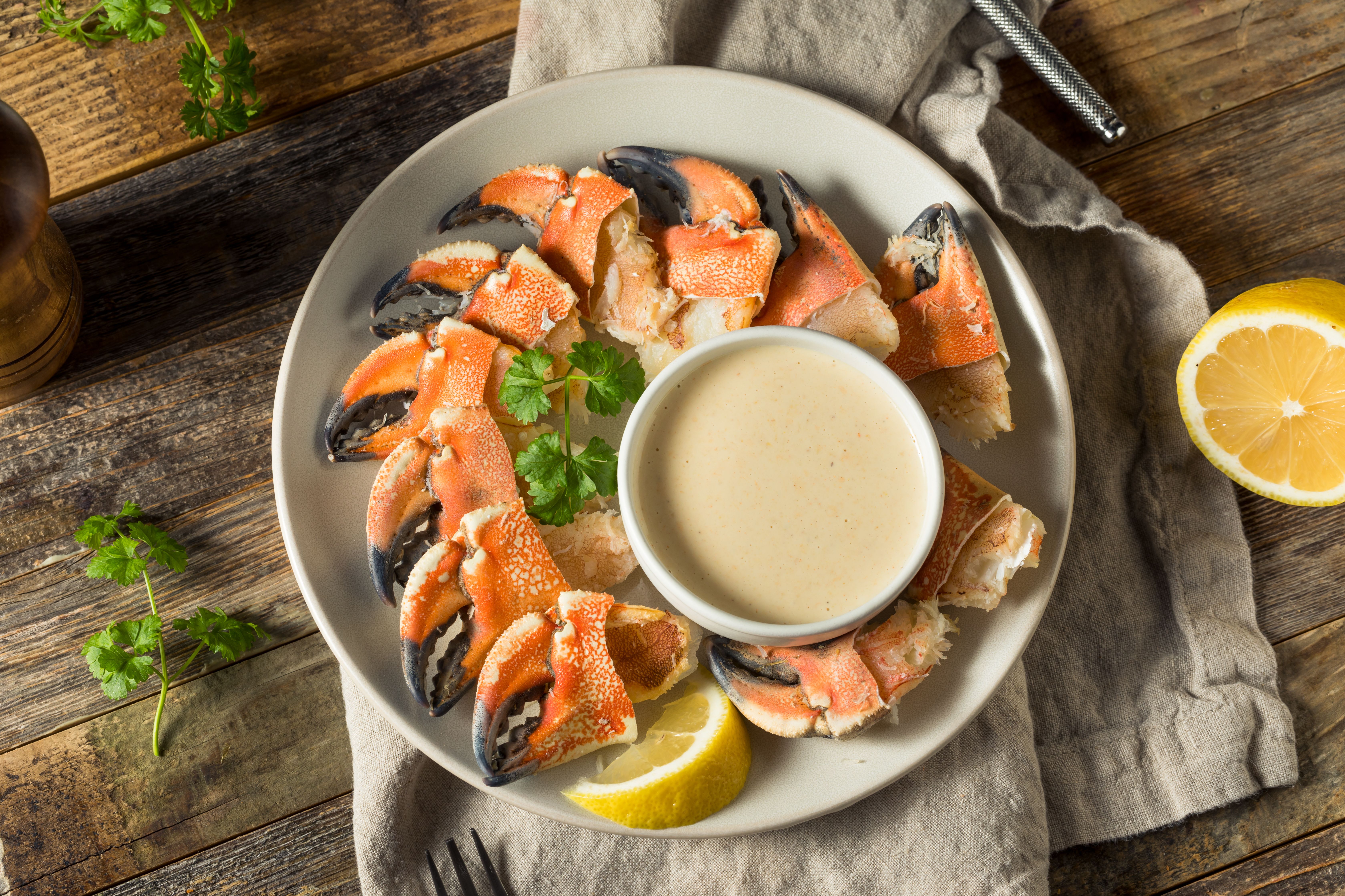 Stone crab claws on a plate, a typical Floridian dish
