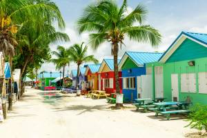 A street of colourful huts, palm trees and picnic tables that is the setting for the famous Friday Night Fish Fry in Oistins