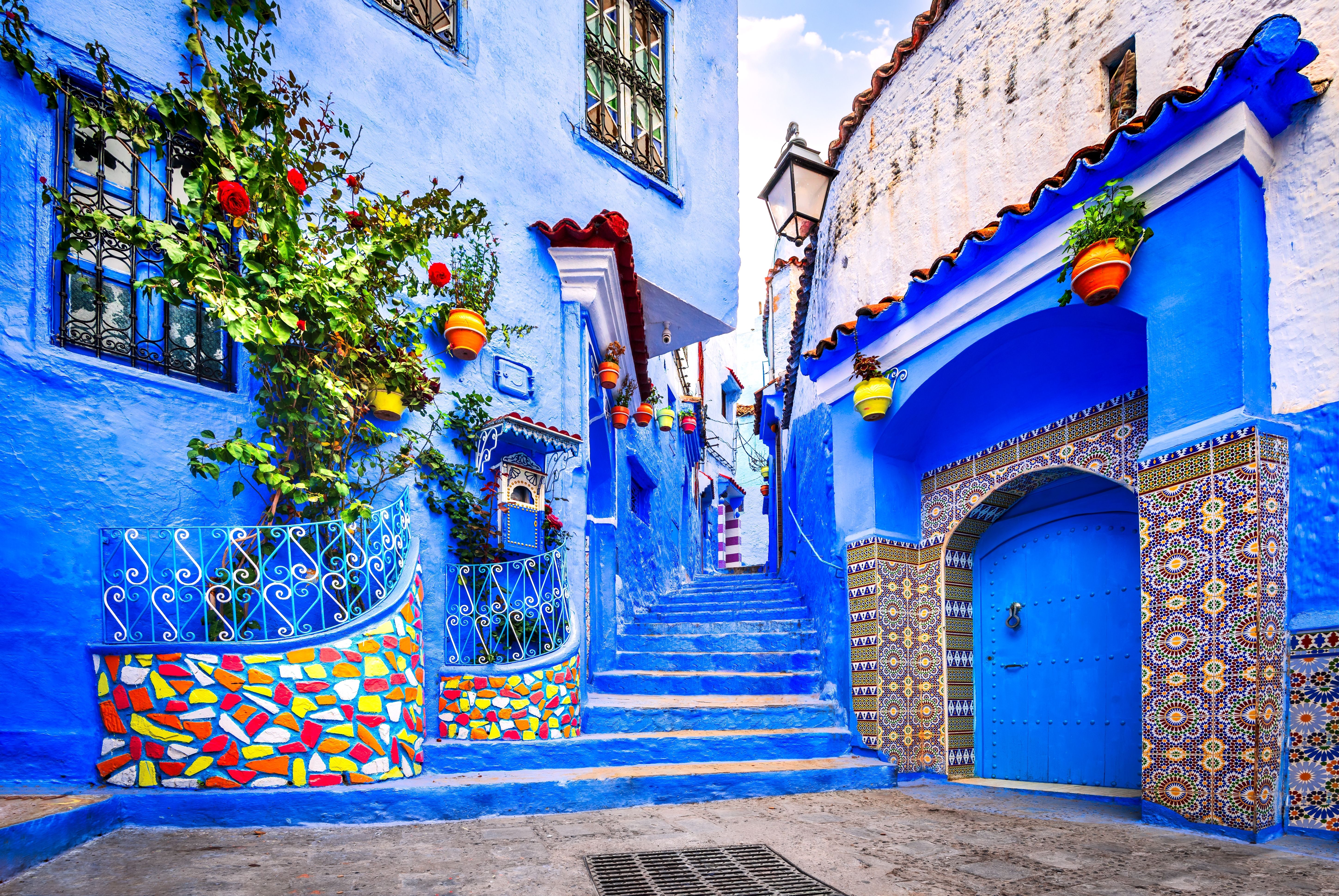 A vibrant blue staircase and wall decorated with colourful flowerpots in the town of Chefchaouen in Morocco
