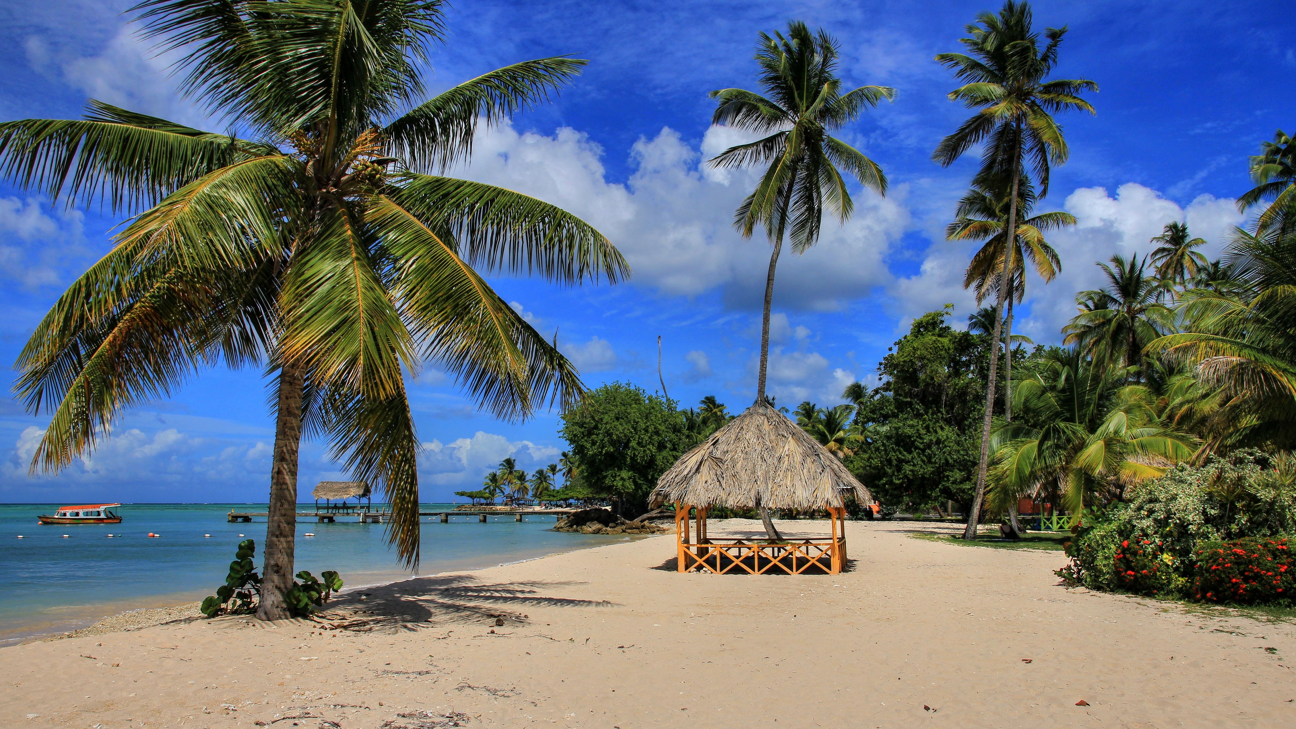 A tropical beach with palms and a straw-roof hut in Trinidad & Tobago