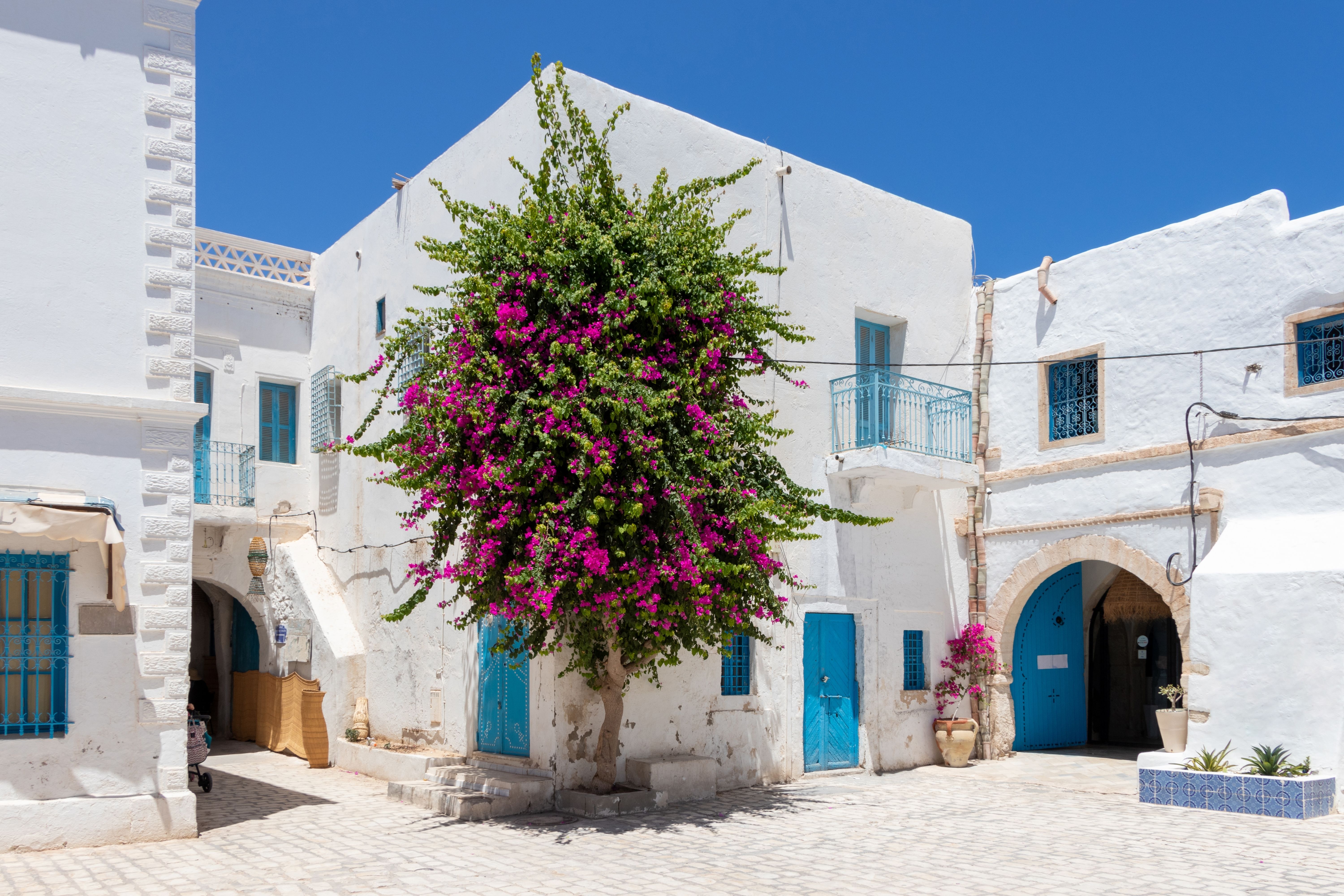 Whitewashed houses and pink flowers in a street of Houmt Souk in Djerba, Tunisia