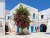 Whitewashed houses and pink flowers in a street of Houmt Souk in Djerba, Tunisia