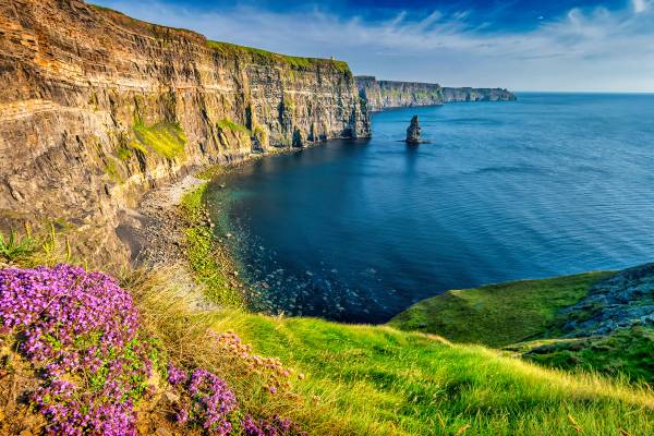 Landscape photograph of the landmark Cliffs of Moher, Ireland on a sunny day covered in flowers
