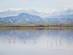 View of a flock of flamingos standing in a low salt lake with mountains in the background.