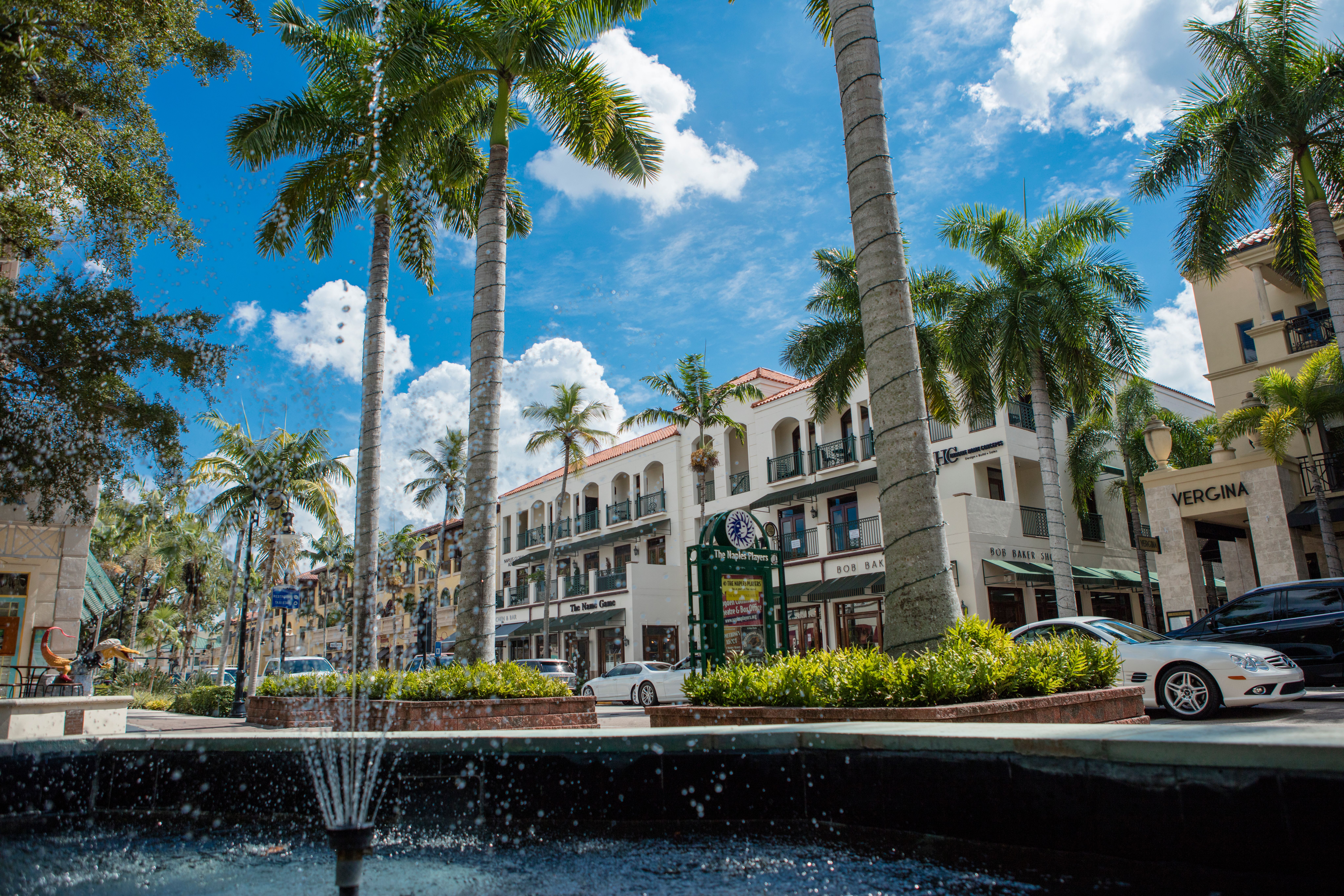 View of a palm-lined shopping street with high-end shops on a sunny day.