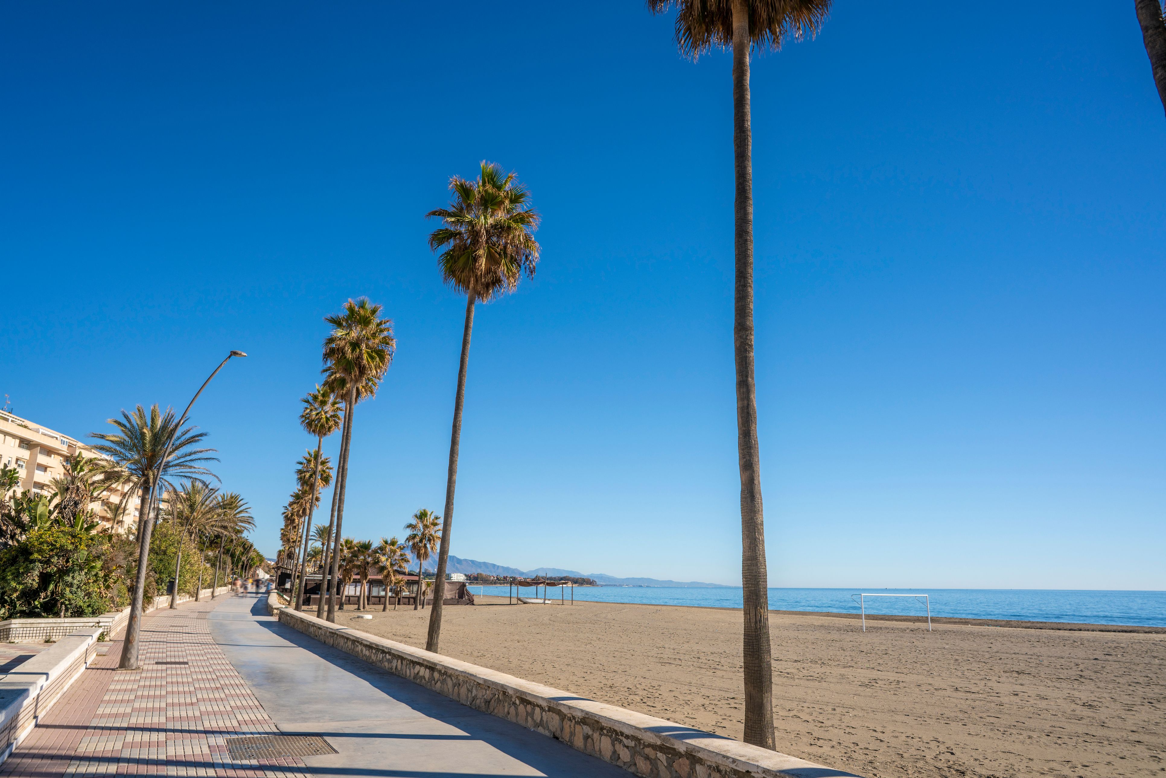 View across the palm tree-lined sands of Playa de La Rada in the Costa del Sol