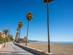 View across the palm tree-lined sands of Playa de La Rada in the Costa del Sol
