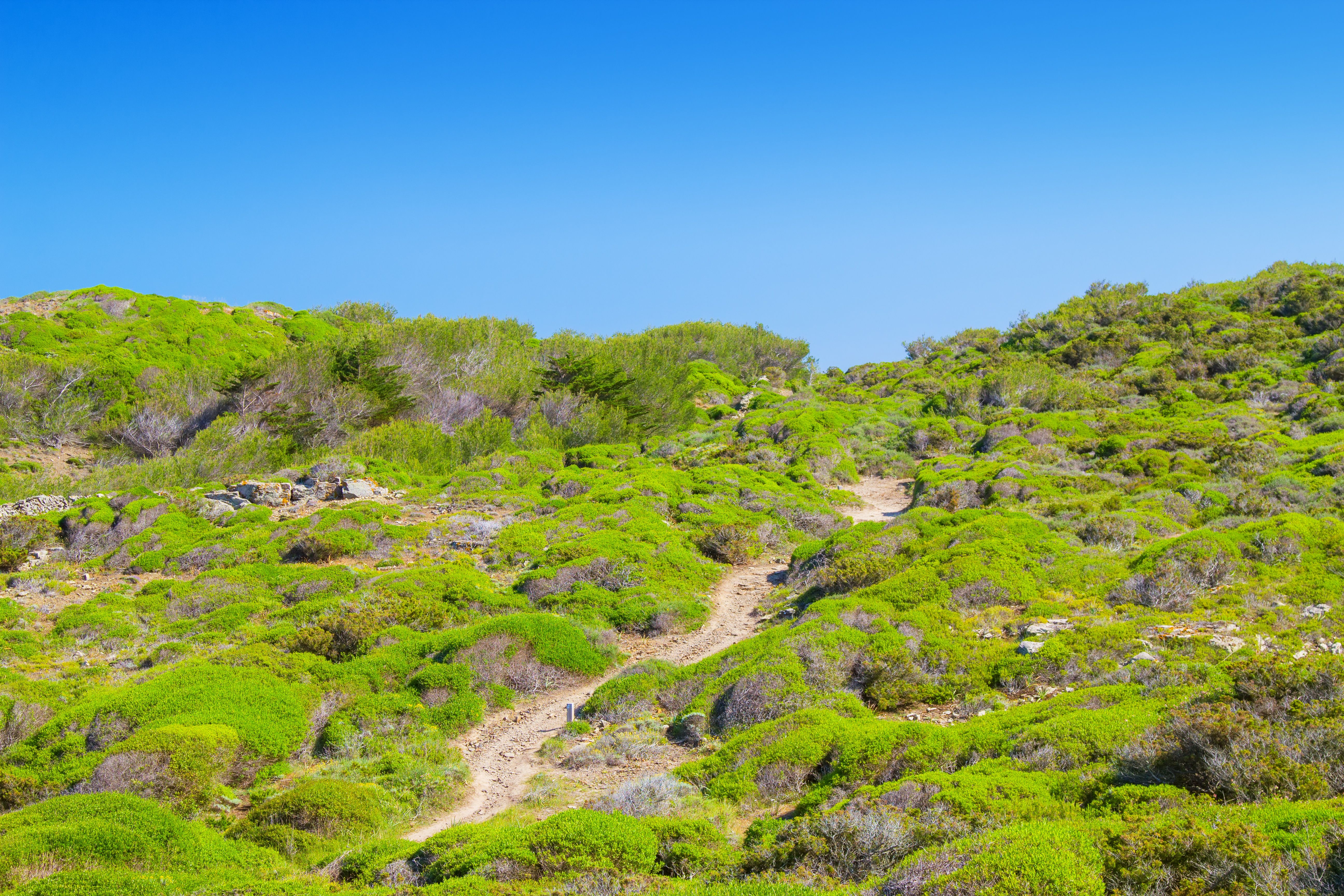 The Cami de Cavalls walking path going through green hills on Menorca, Balearic Islands.