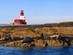 A view of seals on rocks and a lighthouse on the Farne Islands in Northumberland, UK