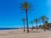 A view of Playa de Venus in Marbella with palm trees