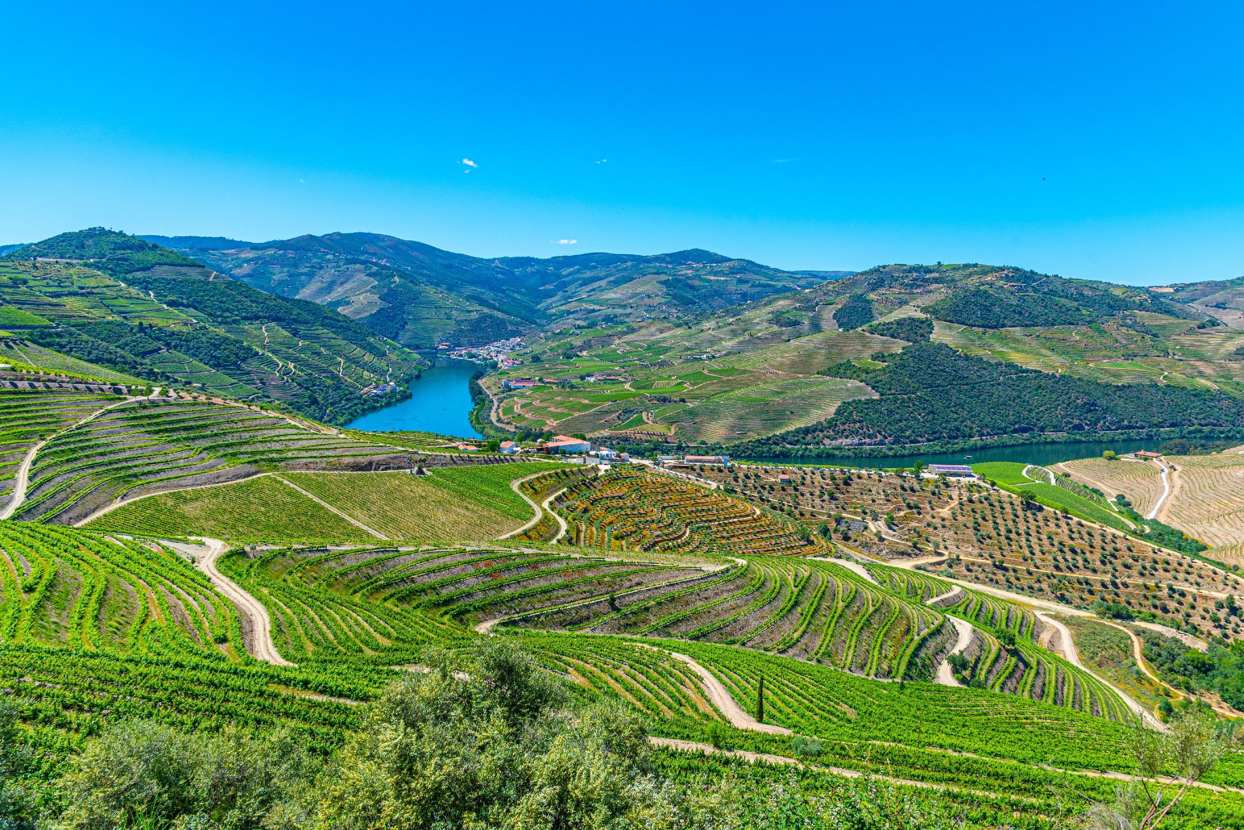 Vineyards and villages on the slopes of the Douro Valley in Portugal