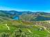 Vineyards and villages on the slopes of the Douro Valley in Portugal