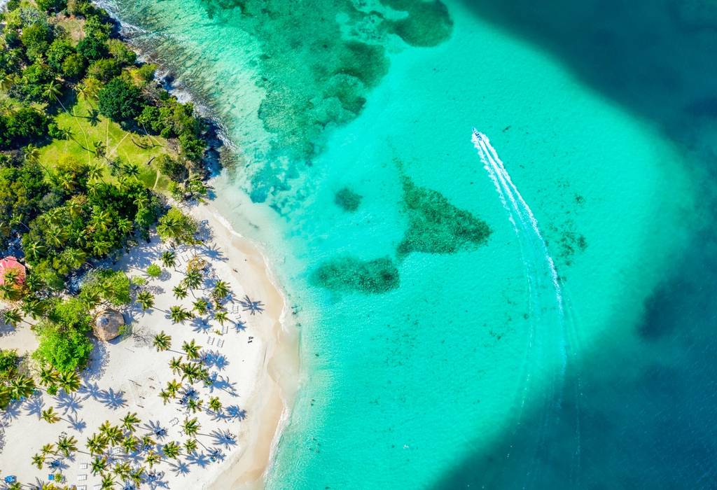 Aerial drone view of the beautiful tropical Cayo Levantado beach with palms on the sand and a boat sailing through the turquoise water