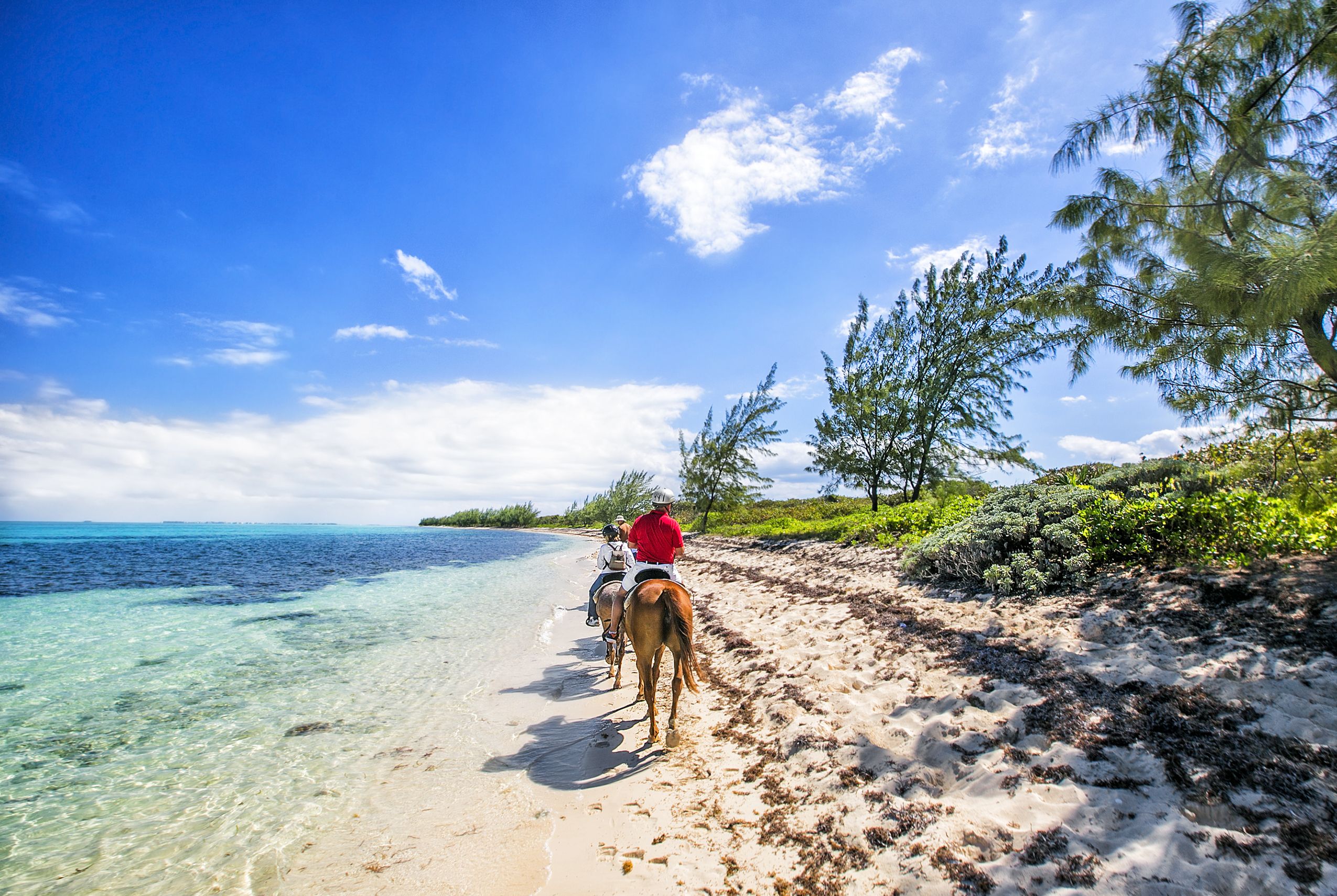 Two horse-riders walking along the sand on a tropical beach in the Cayman Islands, the Caribbean