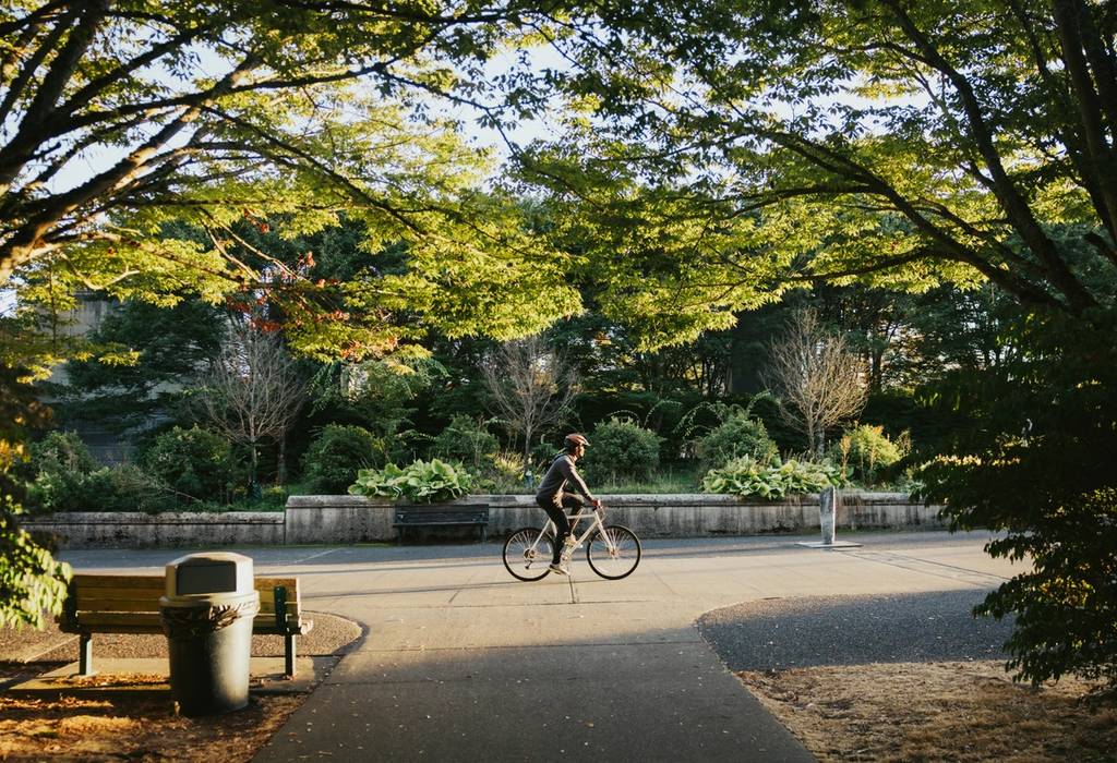 A man cycling through a park on a brisk and sunny autumn day in Seattle