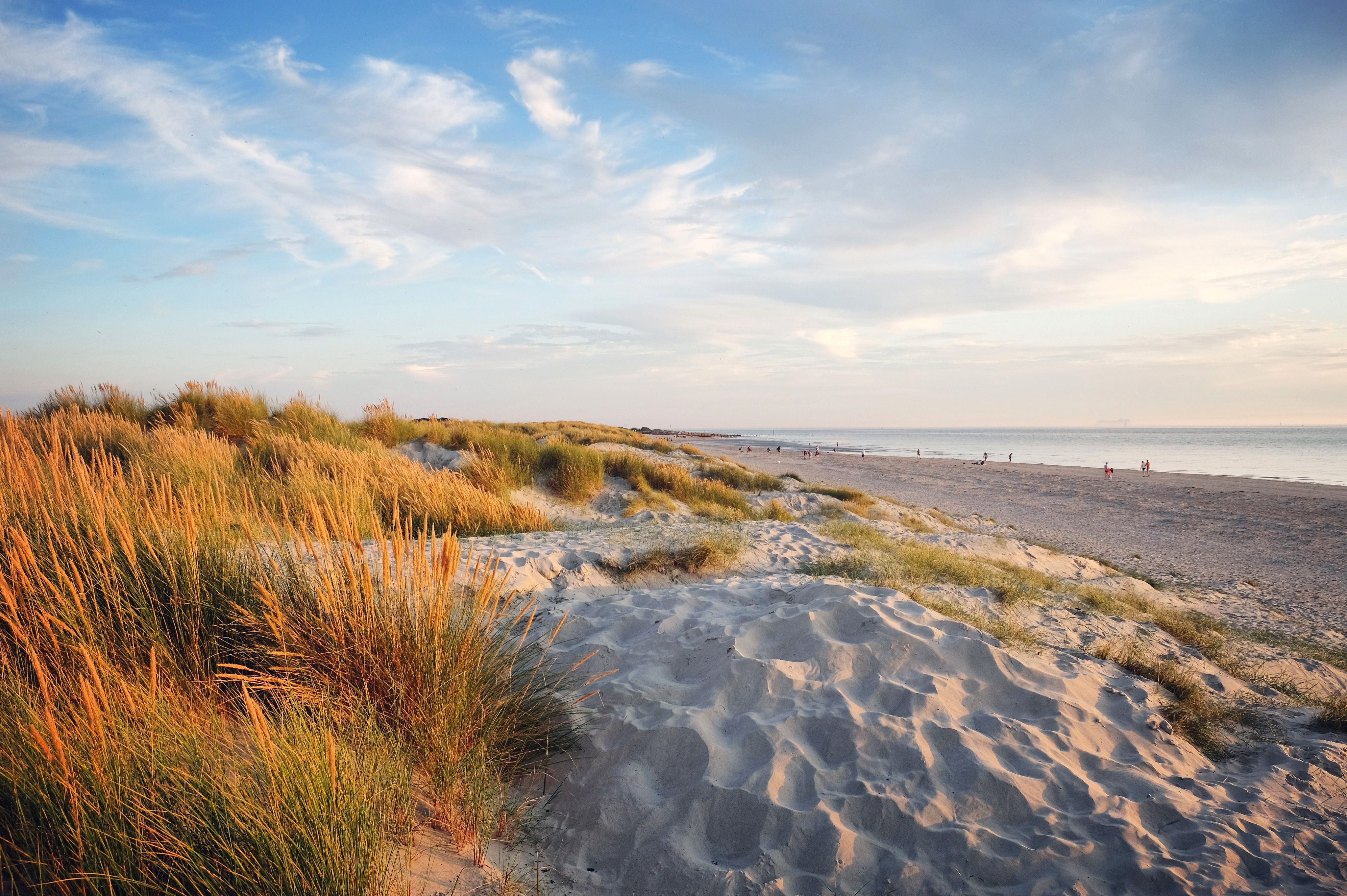 A view across the sand dunes at West Wittering beach, West Sussex