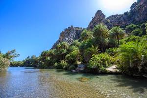 Preveli Beach with its clear water and tropical palm forest behind the beach on southern Crete in Greece