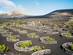 A view of vineyards in La Geria, Lanzarote