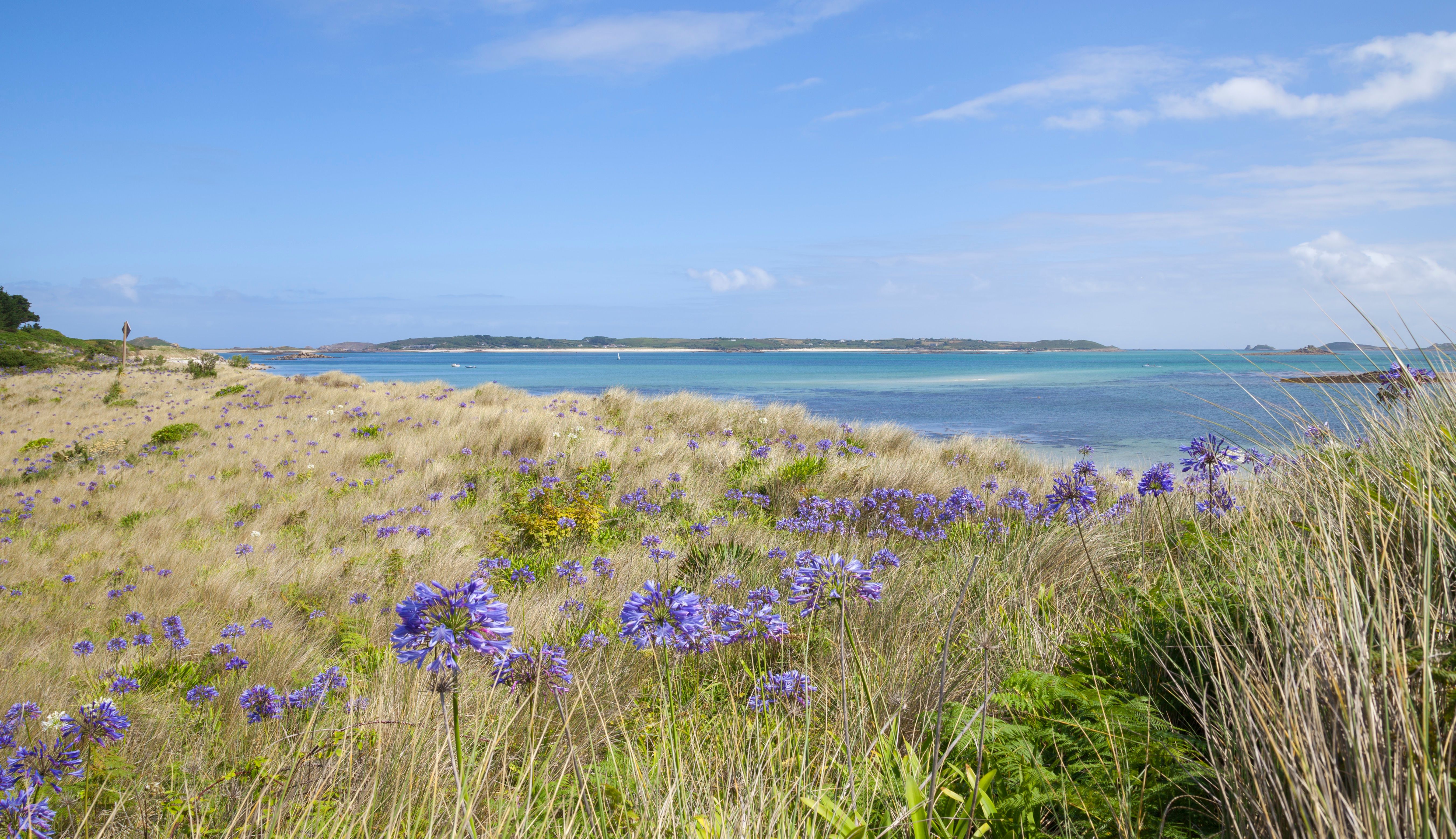 View of Pentle Bay beach in Tresco, Isles of Scilly