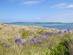 View of Pentle Bay beach in Tresco, Isles of Scilly