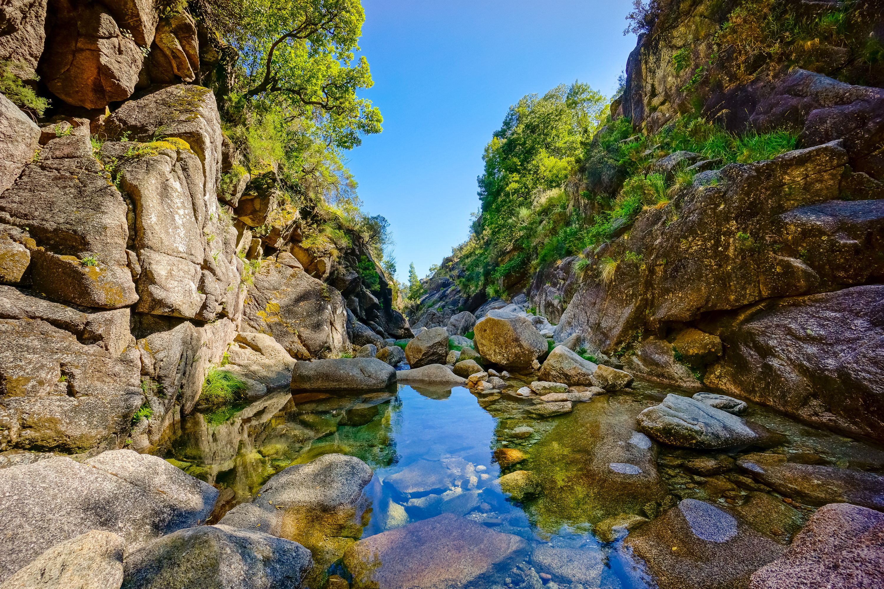 Low angle view of a rocky creek that flows through towering, tree-covered gorge in Portugal.