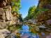 Low angle view of a rocky creek that flows through towering, tree-covered gorge in Portugal.