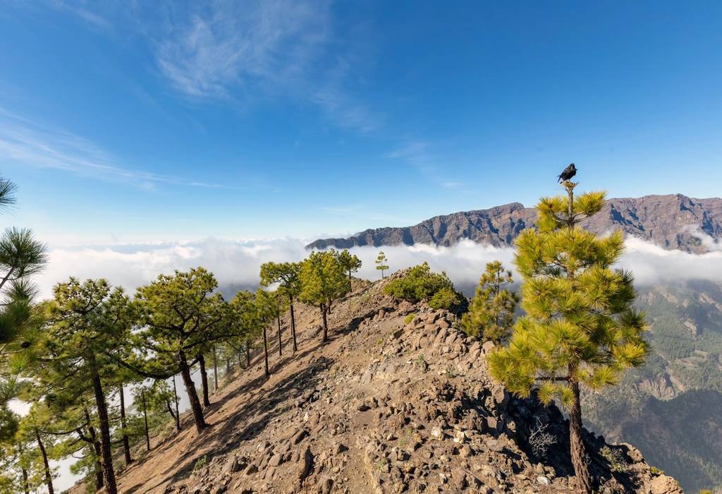 View from the peak "Pico Bejenado" on the island of La Palma on the Canary Islands in Spain
