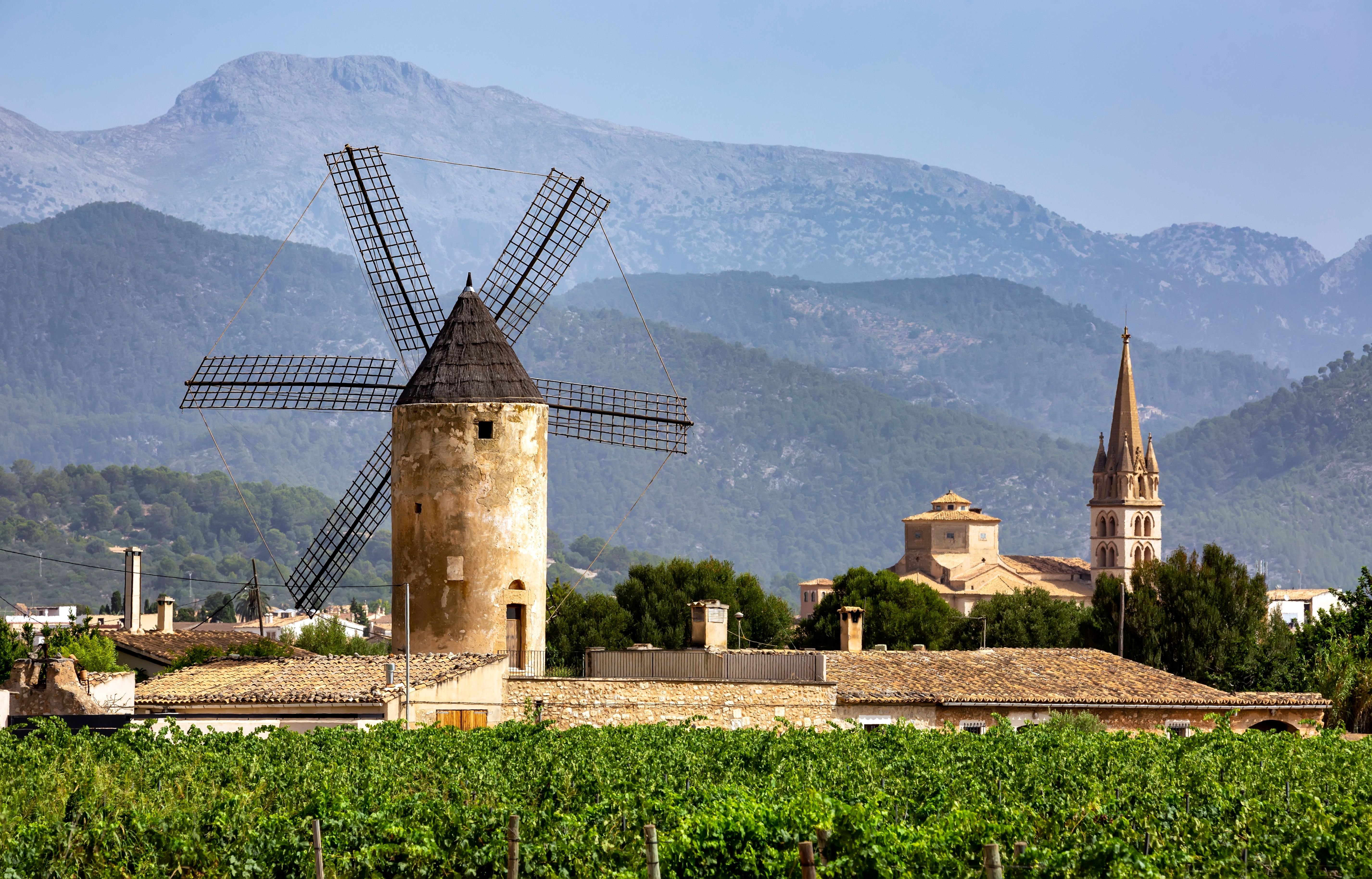 A view of vineyards and a traditional windmill in the rural town of Binissalem in Majorca