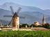 A view of vineyards and a traditional windmill in the rural town of Binissalem in Majorca