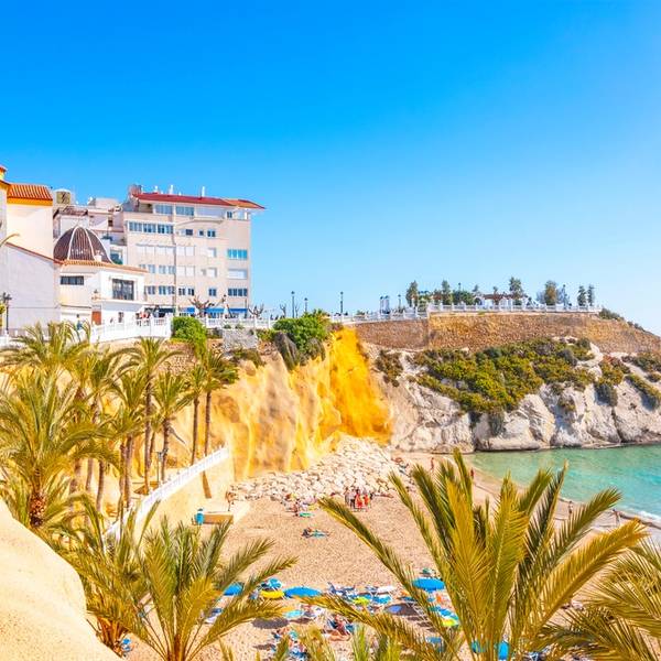 View from a cliff of a golden cove lined with palm trees and sun-loungers on a sunny day in Benidorm