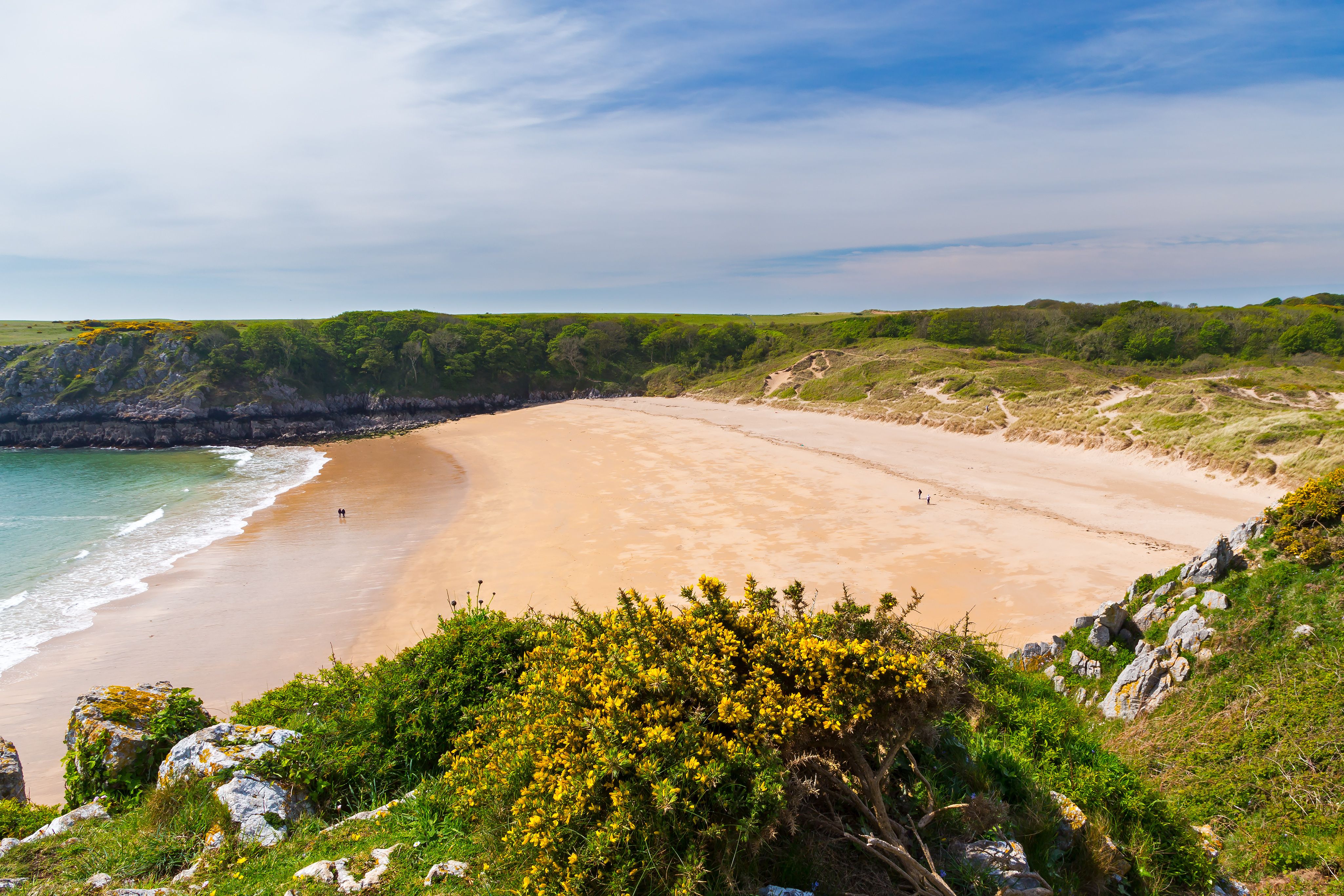 The huge golden sweep of sands at Barafundle Bay in Wales