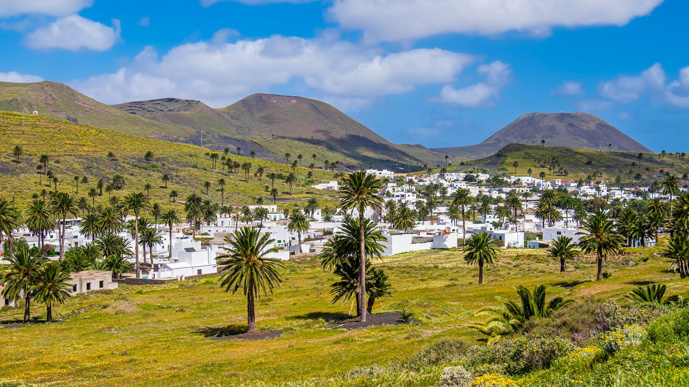 View of Haria village in the 'Valley of a thousand palms' in Lanzarote