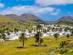 View of Haria village in the 'Valley of a thousand palms' in Lanzarote