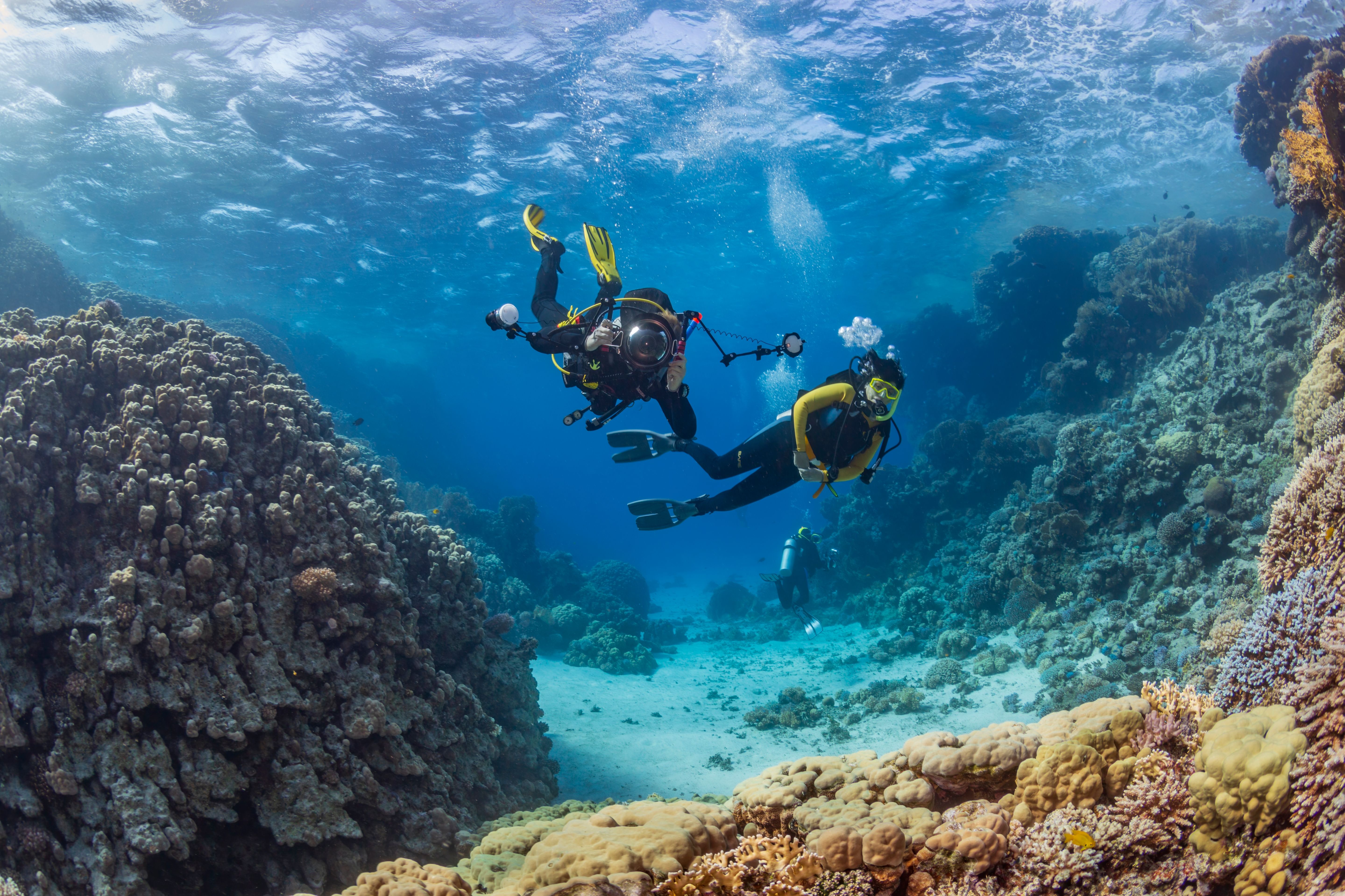View of two scuba divers exploring a pastel-coloured coral reef.