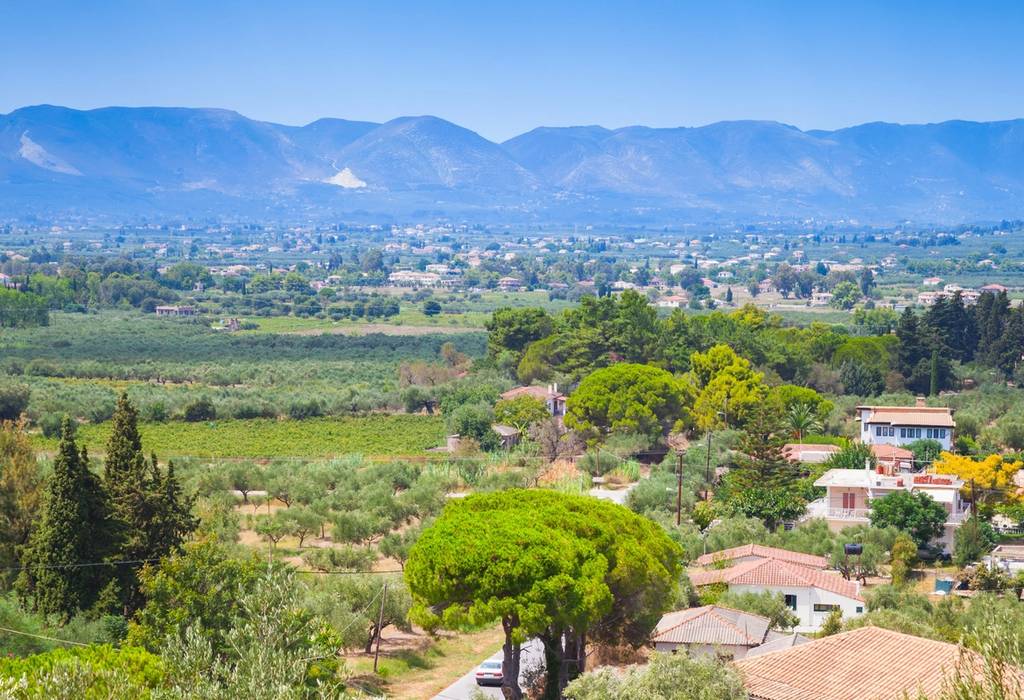 A view of a rural landscape in Tsilivi on the Greek island of Zante with green olive groves and mountains in the background.