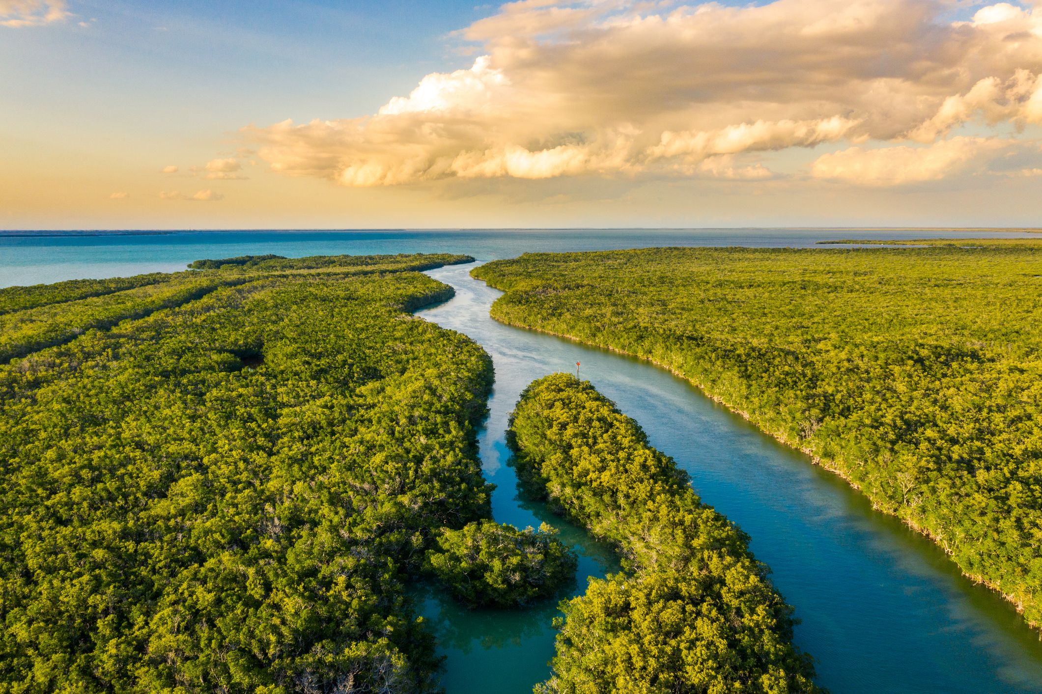 Aerial view of lush green wetlands during a soft, partly-cloudy sunset.