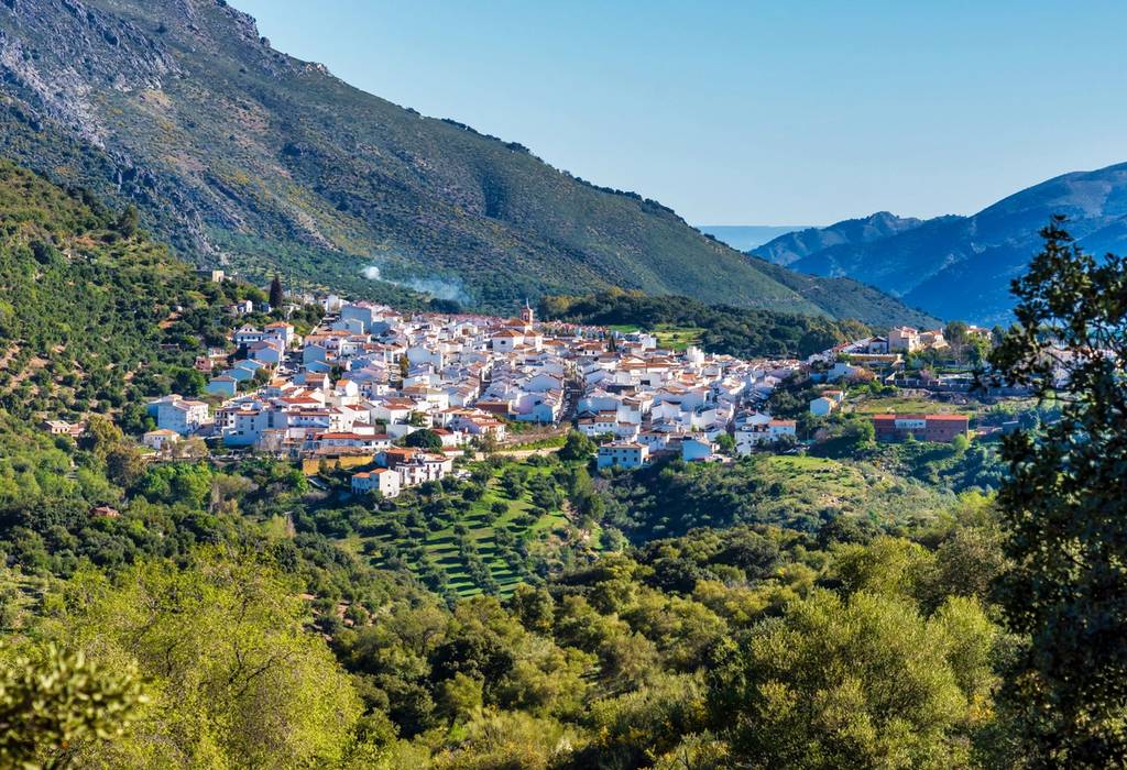 A view of the town Cortes de la Frontera showing houses hidden in a valley of Malaga in Andalusia, Spain on a sunny day