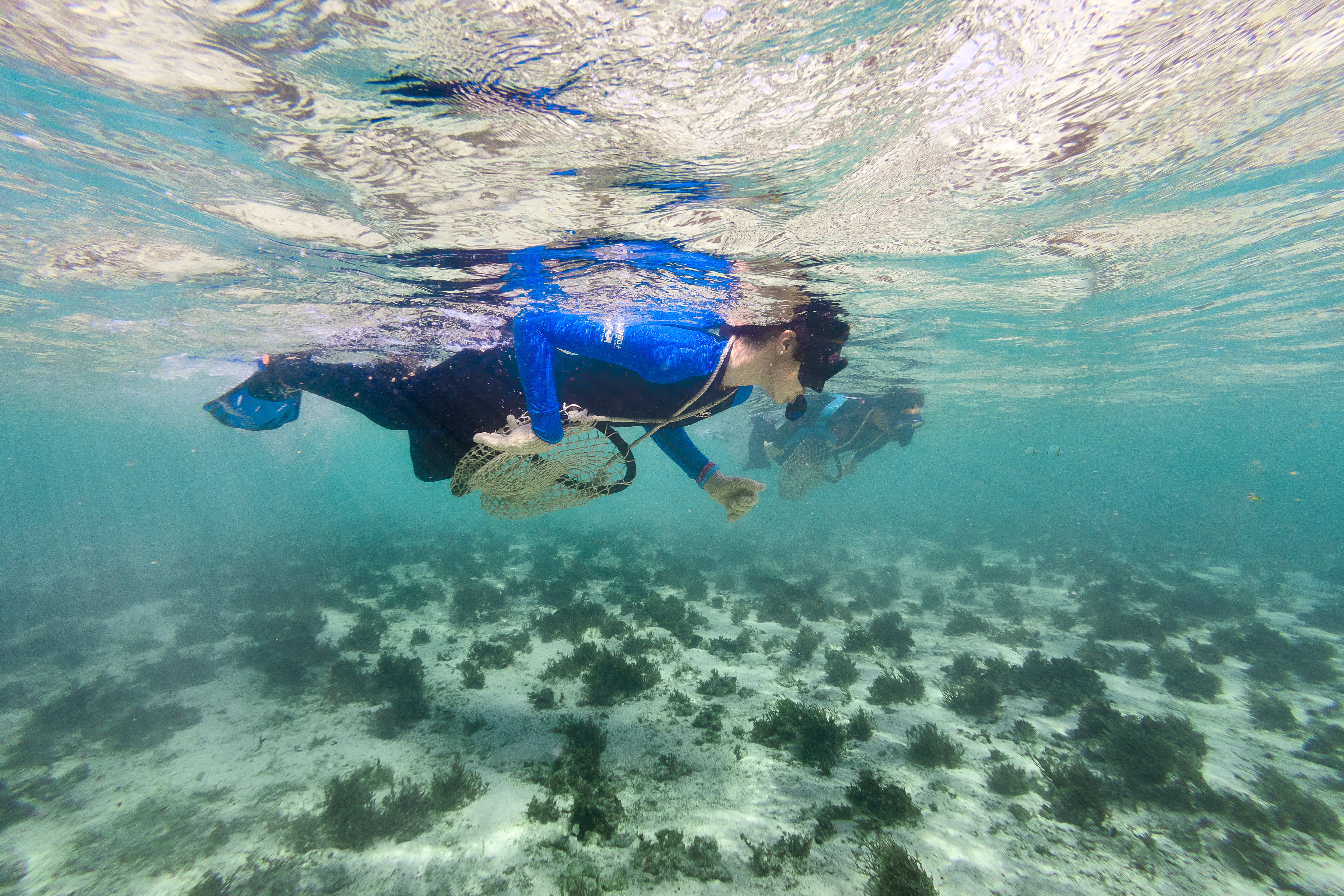 pearl snorkeling in bahrain