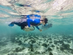 pearl snorkeling in bahrain