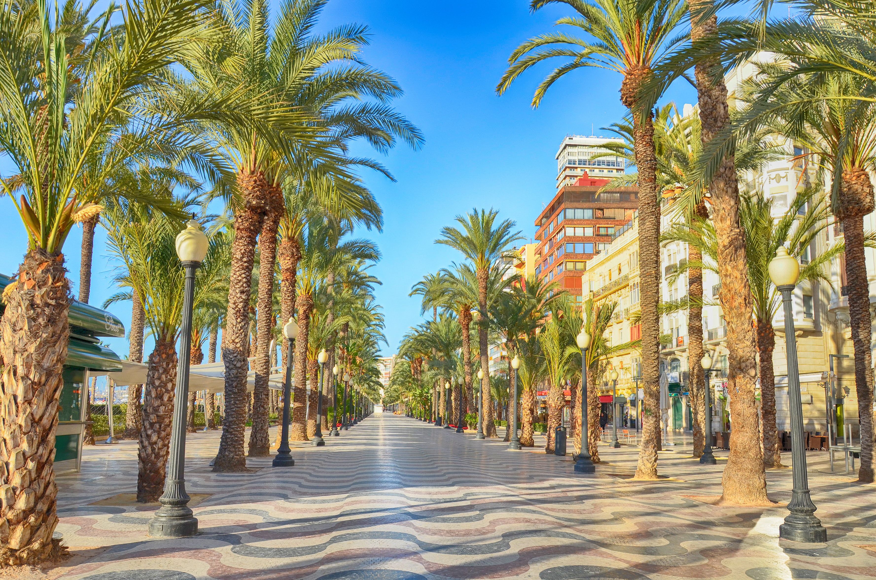 View of the Explanada promenade in Alicante lined by palm trees