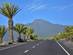 A mountain road lined by palm trees in La Palma, Canary Islands