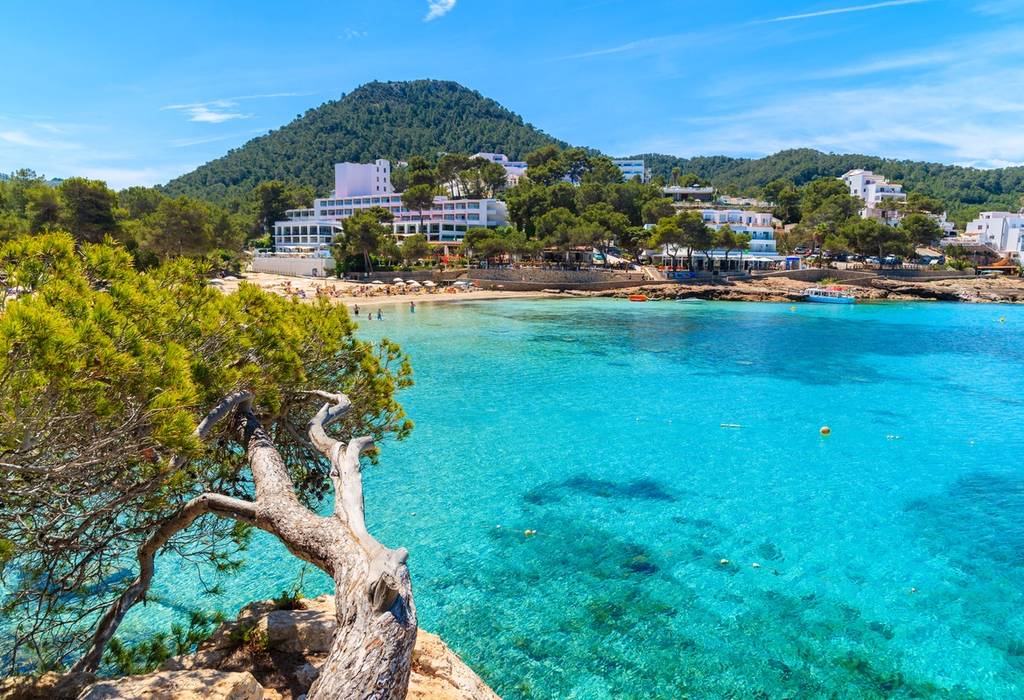 A view of lush green pine trees on cliff rock overlooking beautiful Cala Portinatx bay resort with hotels on shore on the island of Ibiza, Spain