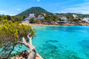 A view of lush green pine trees on cliff rock overlooking beautiful Cala Portinatx bay resort with hotels on shore on the island of Ibiza, Spain