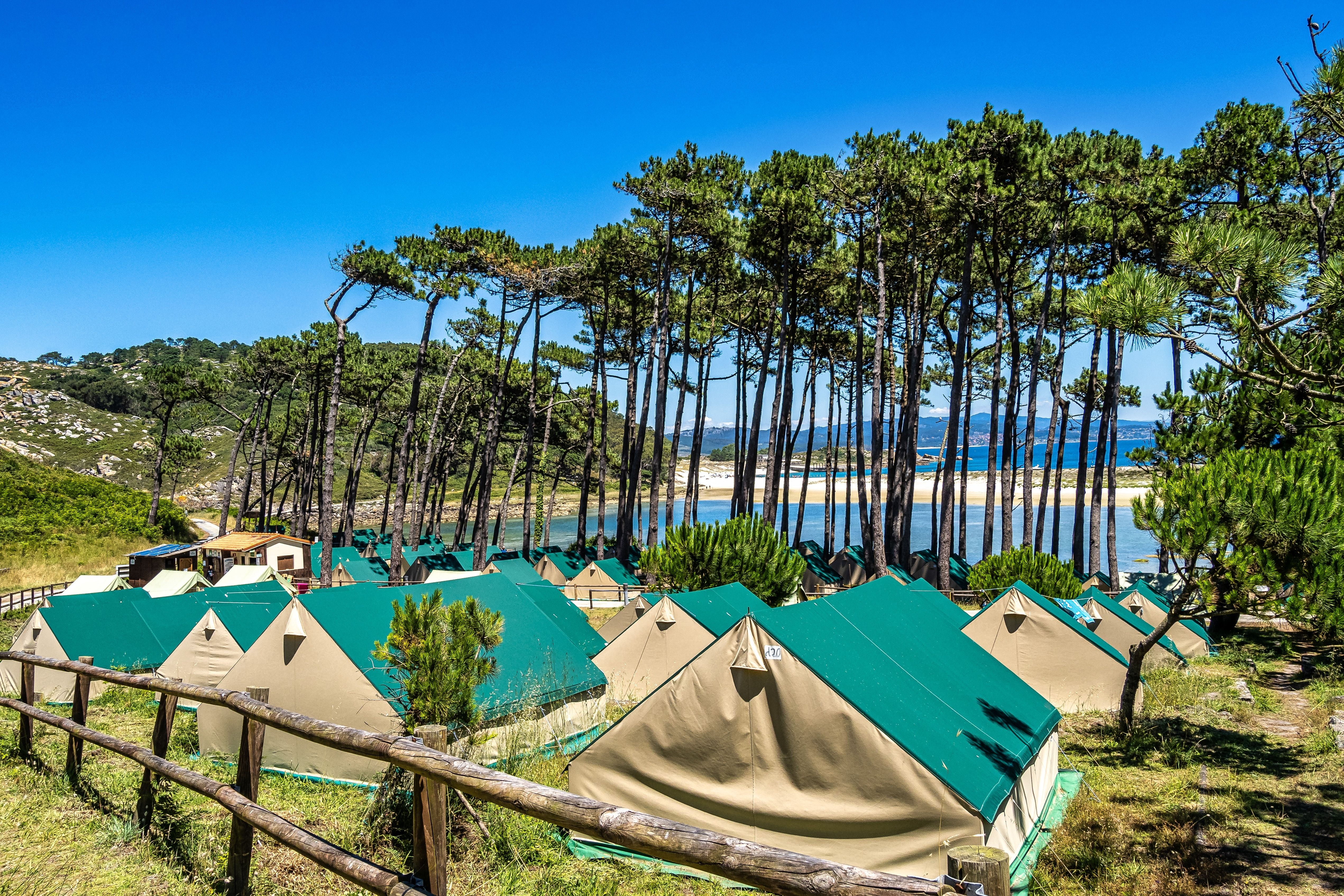 View of green-roofed tents set just behind a row of tall trees facing a sandy beach.