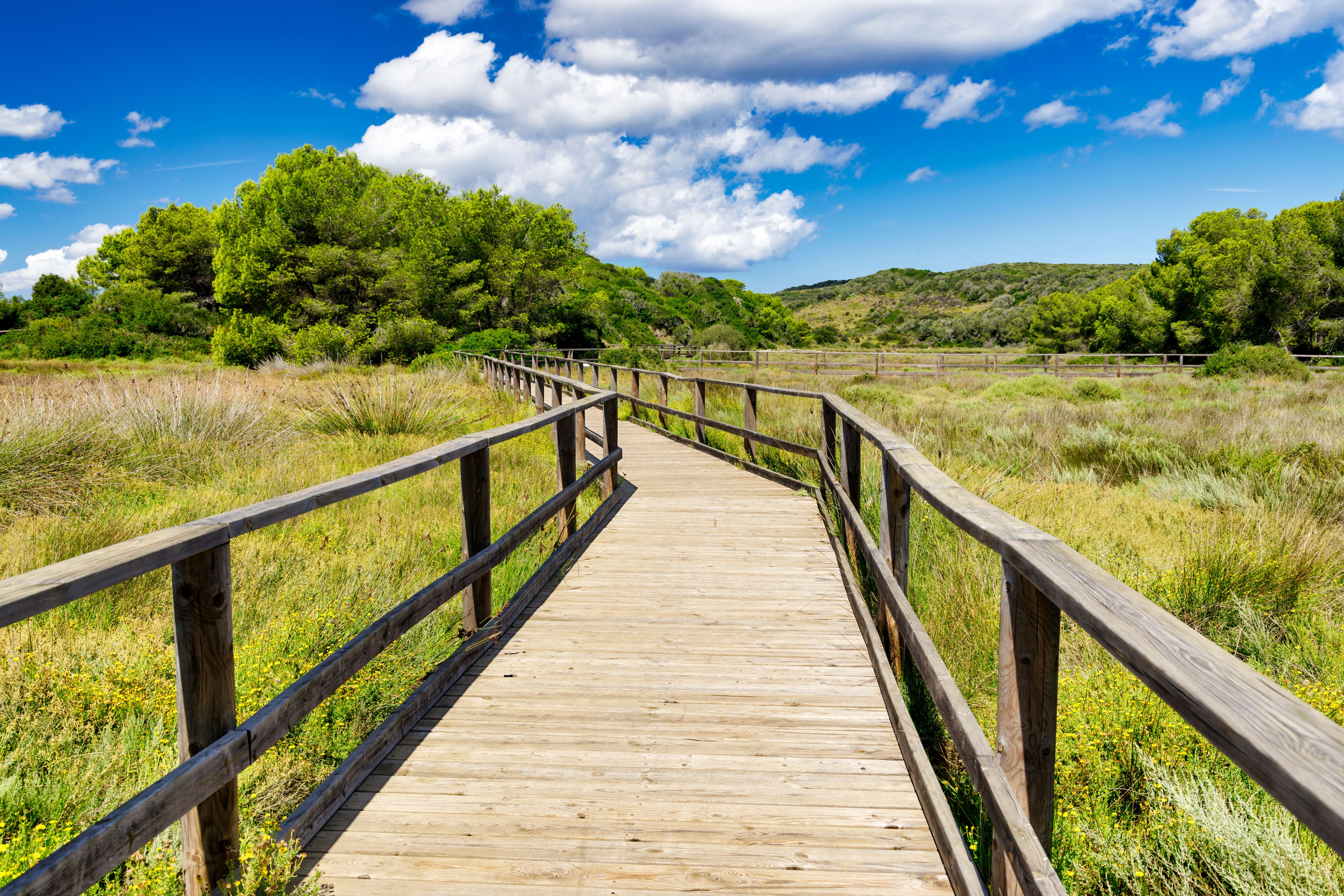 A wooden walkway through Albufera des Grau National Park, Menorca