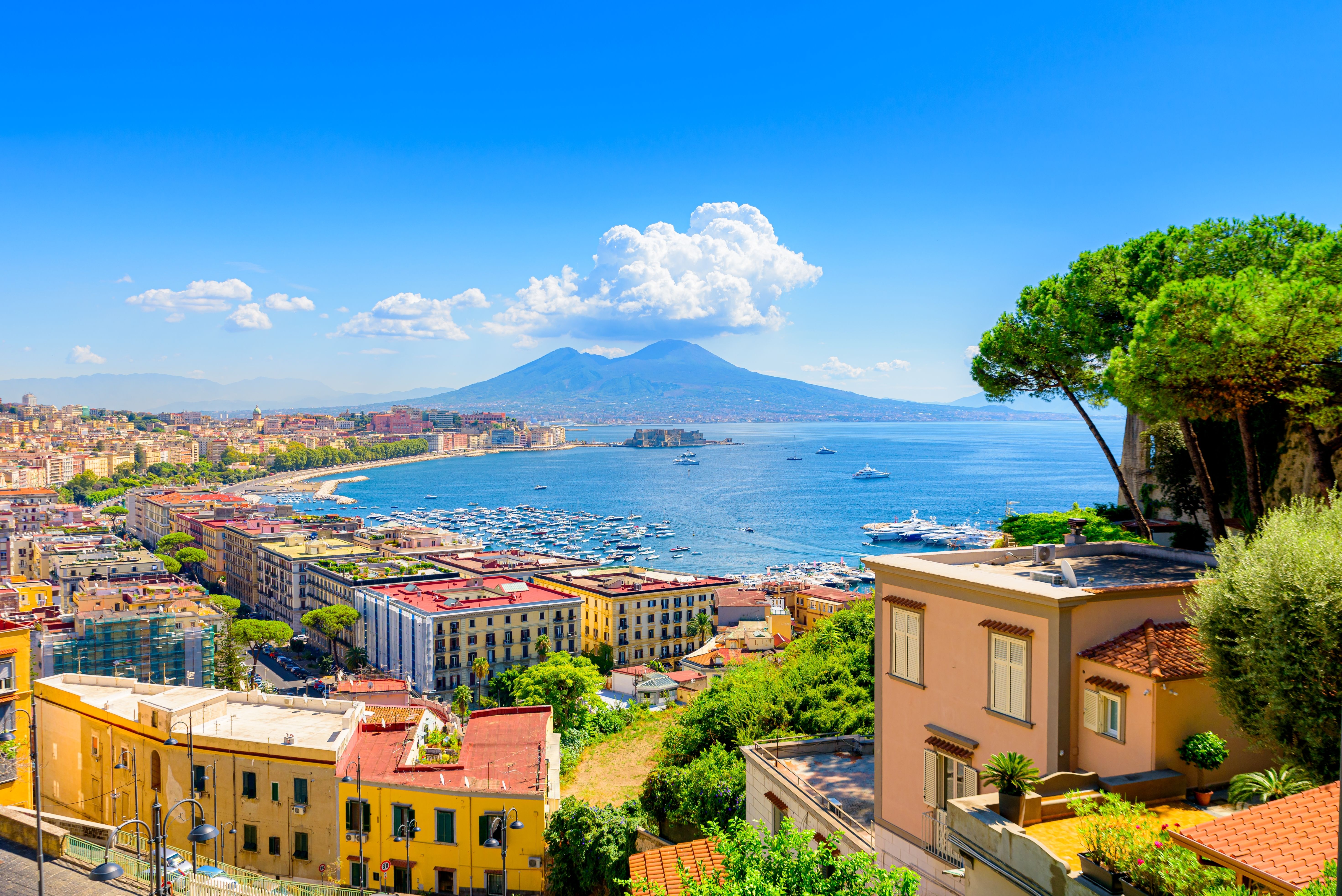 View of the Gulf of Naples from the Posillipo hill with colourful houses stretching to Mount Vesuvius far in the background and some pine trees in foreground