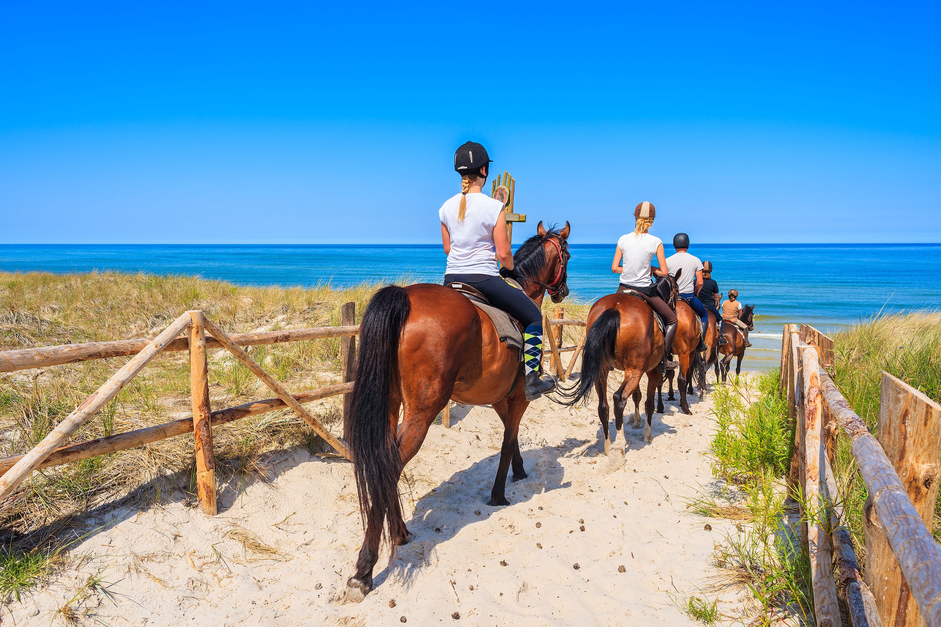 A view of horse riders on a sandy path leading to a beach