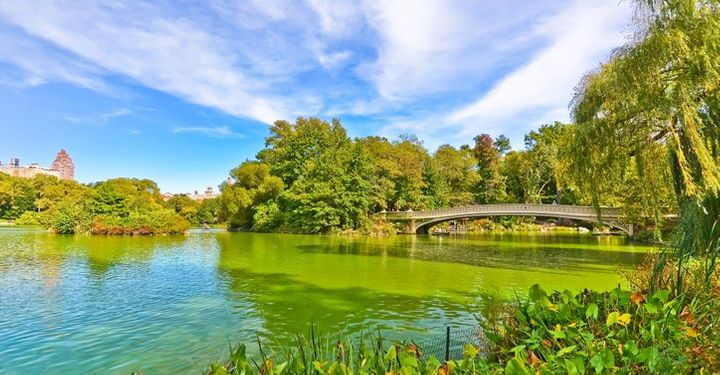 7 of the world's best cities for running TravelSupermarket